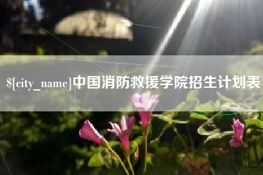邵阳县中国消防救援学院招生计划表