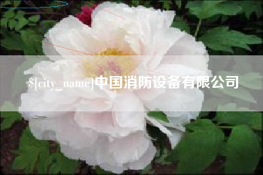 邵阳县中国消防设备有限公司