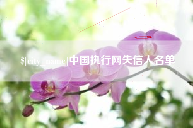 邵阳县中国执行网失信人名单