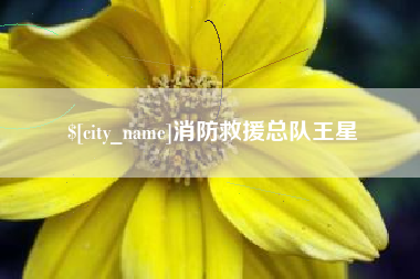 邵阳县消防救援总队王星