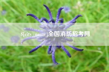 邵阳县全国消防招考网