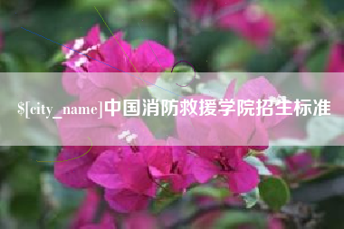 邵阳县中国消防救援学院招生标准