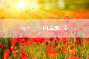 邵阳县九金是什么