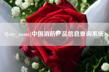 邵阳县中国消防产品信息查询系统1
