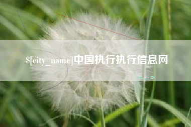 邵阳县中国执行执行信息网