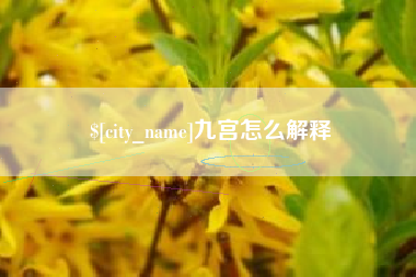 邵阳县九宫怎么解释