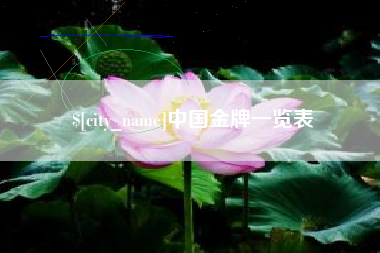 邵阳县中国金牌一览表