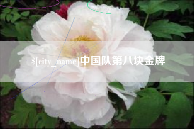 邵阳县中国队第八块金牌