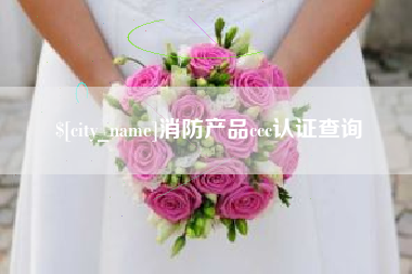 邵阳县消防产品ccc认证查询