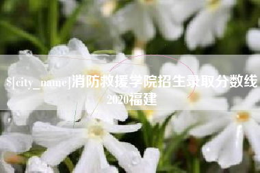 邵阳县消防救援学院招生录取分数线2020福建