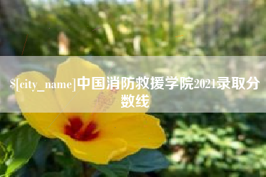 邵阳县中国消防救援学院2021录取分数线