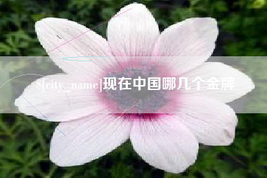 邵阳县现在中国哪几个金牌
