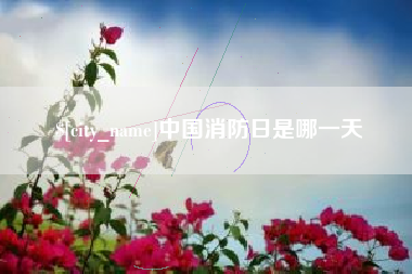 邵阳县中国消防日是哪一天