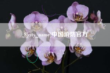 邵阳县中国消防官方
