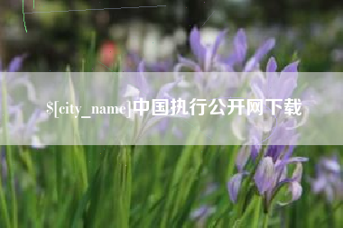 邵阳县中国执行公开网下载