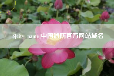 邵阳县中国消防官方网站域名