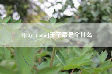 邵阳县王子豪是个什么