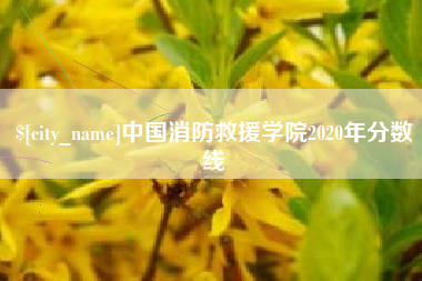邵阳县中国消防救援学院2020年分数线
