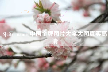 邵阳县中国金牌图片大全大图真实高清