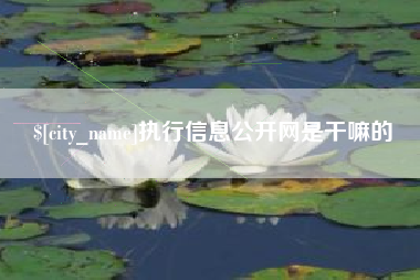 邵阳县执行信息公开网是干嘛的
