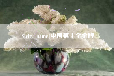 邵阳县中国第十个金牌