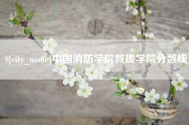 邵阳县中国消防学院救援学院分数线