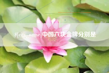邵阳县中国六块金牌分别是