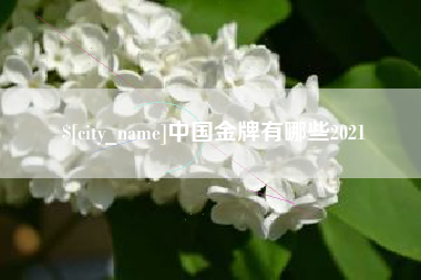 邵阳县中国金牌有哪些2021