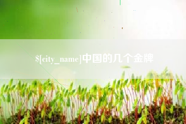 邵阳县中国的几个金牌