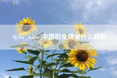 邵阳县中国的金牌是什么样的