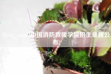 邵阳县中国消防救援学院招生章程公布!