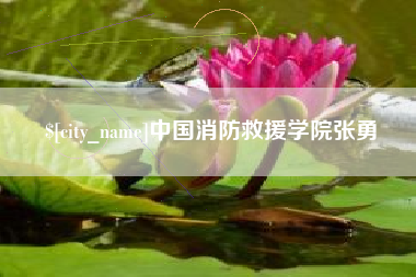 邵阳县中国消防救援学院张勇