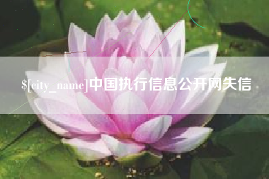 邵阳县中国执行信息公开网失信