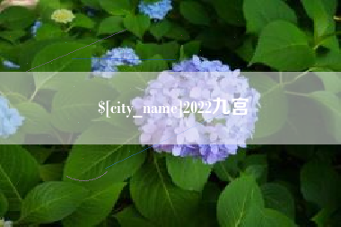 邵阳县2022九宫
