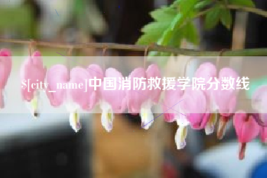 邵阳县中国消防救援学院分数线