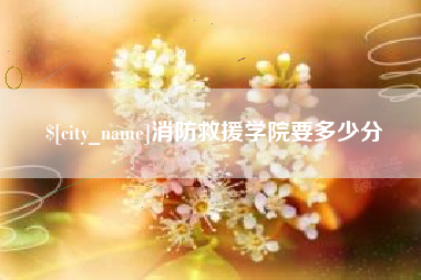 邵阳县消防救援学院要多少分