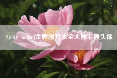 邵阳县金牌图片大全大图卡通头像