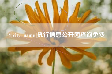 邵阳县执行信息公开网查询免费