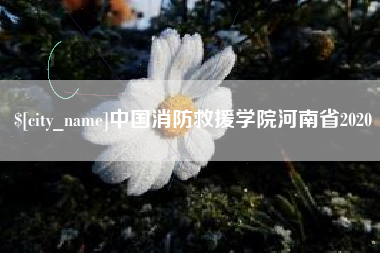 邵阳县中国消防救援学院河南省2020