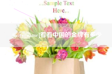 邵阳县看看中国的金牌有多少